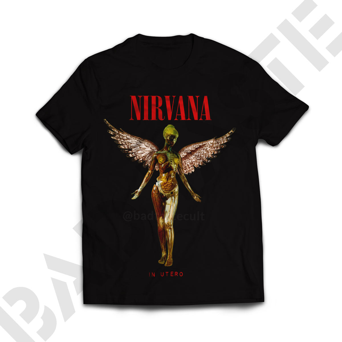 [POLOS] Nirvana